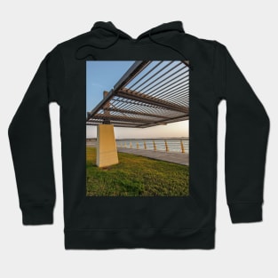 trellis Hoodie